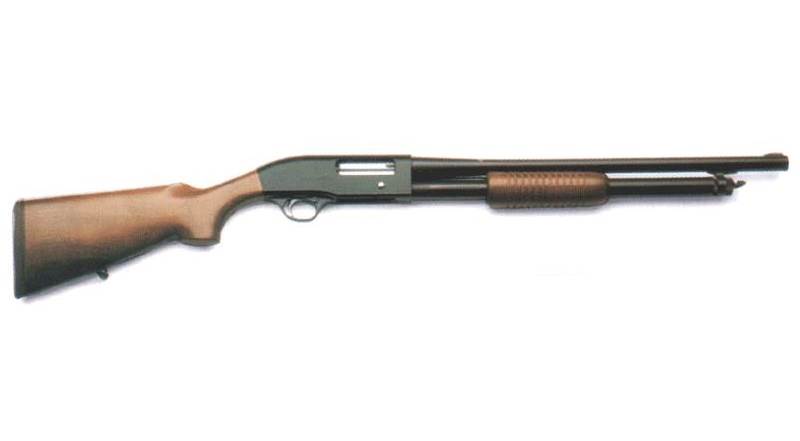 i b RS-202P/b/i/br Right side view of Beretta RS-202P with standard length ...
